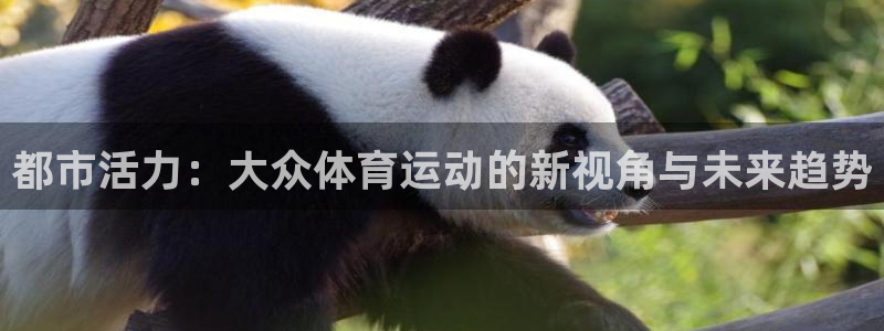 oety欧亿体育官网下载招商电话是多少:都市活力:大众体育运