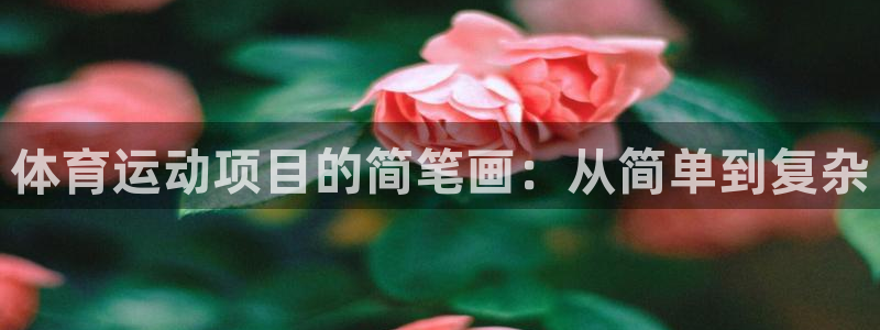 oety欧亿体育官网下载招商电话是多少:体育运动项目的简笔画