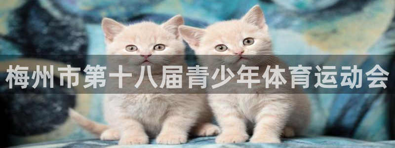 oety欧亿体育官网下载注册:梅州市第十八届青少年体育运动会